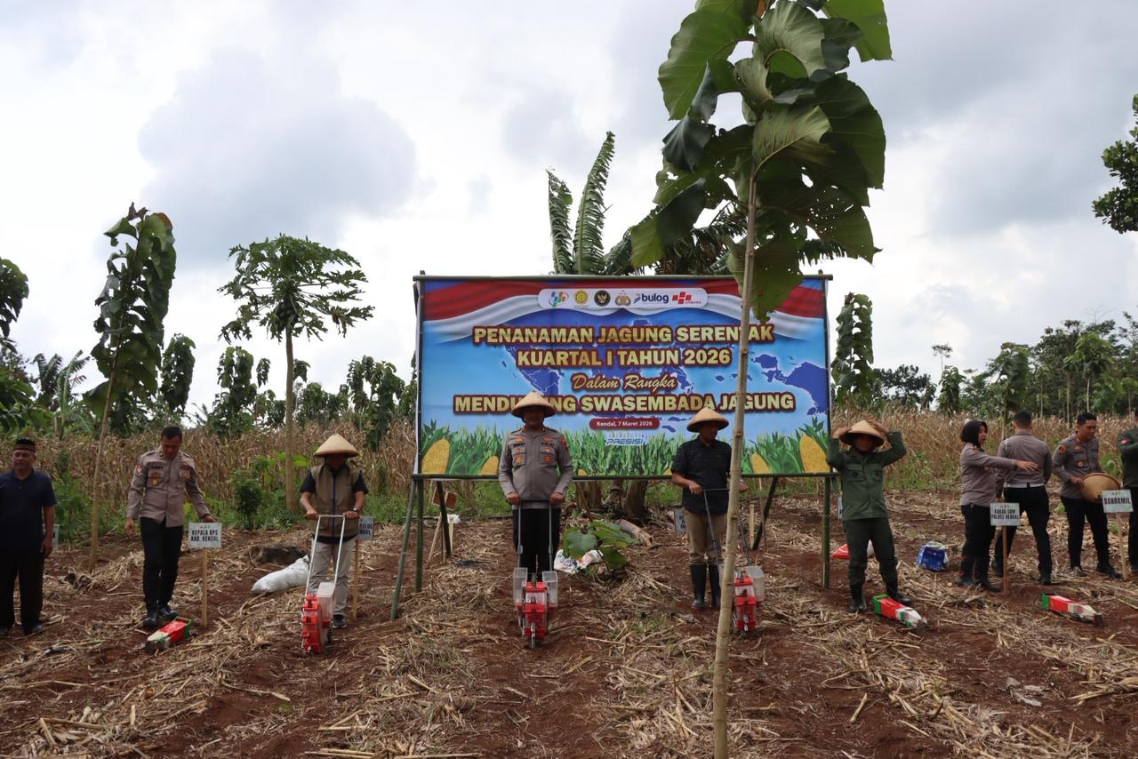 Dukung Program Ketahanan Pangan Nasional, Polres Kendal Tanam Jagung Serentak di Kedungsuren