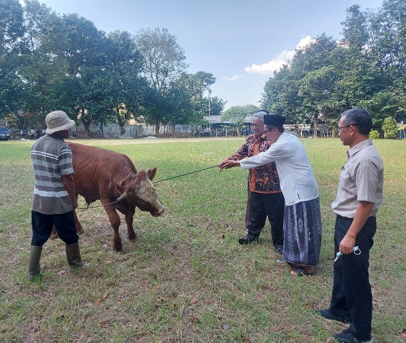 Yayasan APF Bagikan 4 Sapi dan 85 Kambing Ke Masyarakat