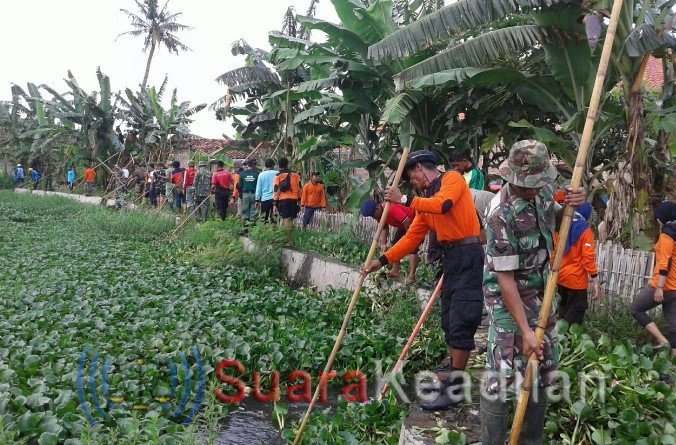 Cegah Banjir Kodim Pekalongan,Polri ,Pemda dan Masyarakat Bersatu Bersihkan Enceng Gondok Sungai Bremi