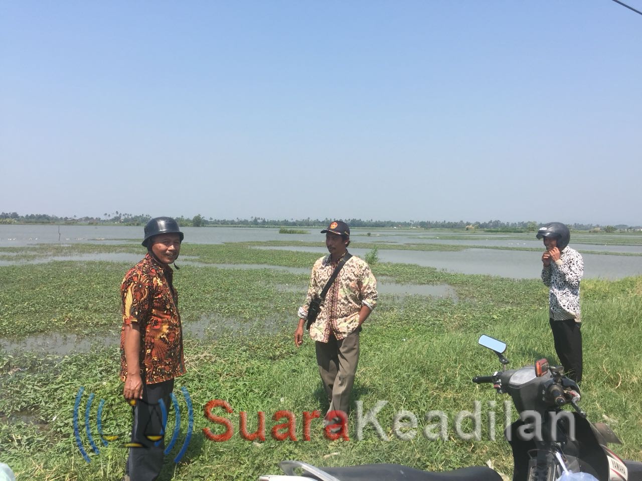 Tak Bisa Ditanami, 200 H Sawah Di Kendal Terendam Rob