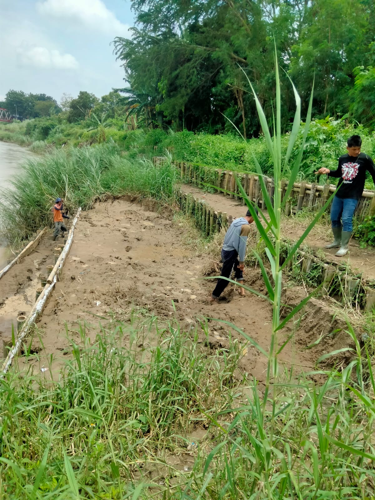 Takut Jebol, Warga dan Pemdes Kebonharjo Swadaya Perbaiki Tanggul Yang Longsor