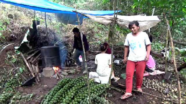 Pengolah Kolang Kaling Di Kajen Meraup Untung Besar