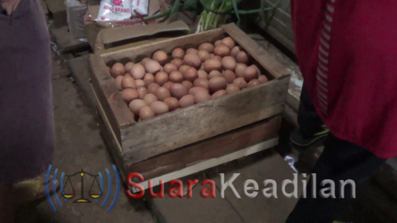 Awal Tahun Harga Telur Makin Menjadi Naik Rp 7000 per Kilogram