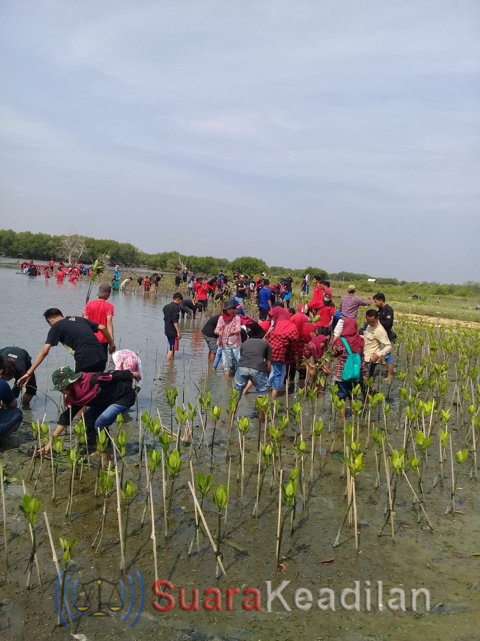 Harapan Hutan Untuk Kendal