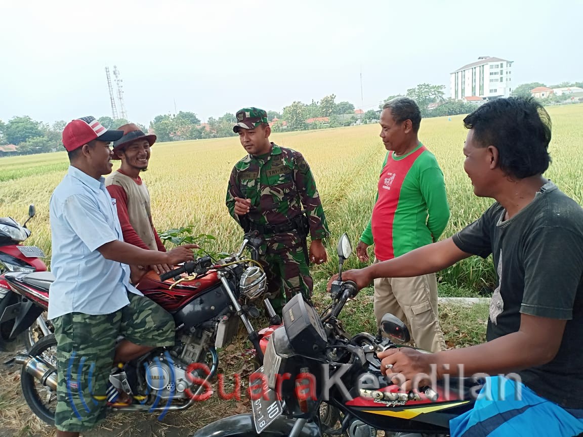 Babinsa Beri Layanan Komsos kepada Masyarakat