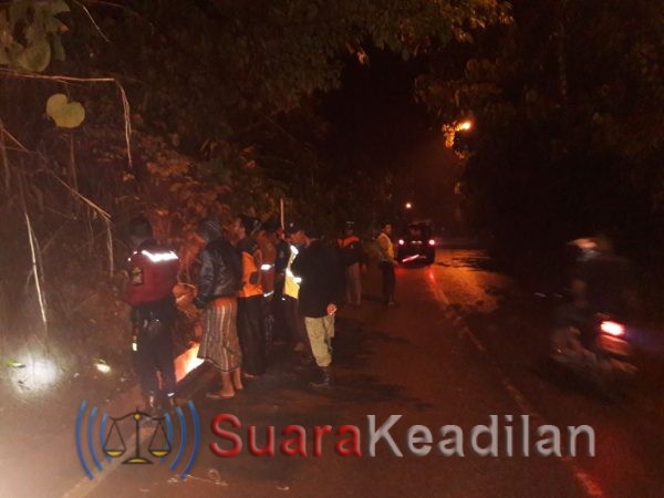 Sarang tawon dimusnahkan usai telan korban