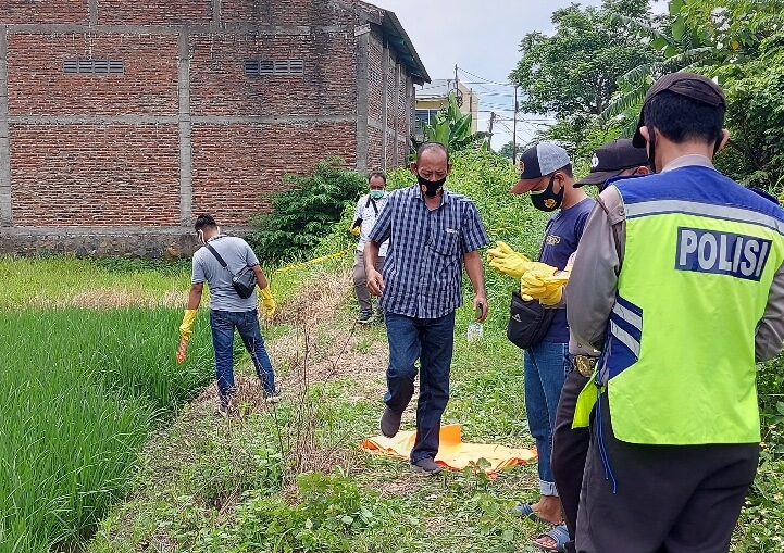 Mayat Perempuan Tanpa Identitas  Ditemukan Tewas Di Sawah Jambearum