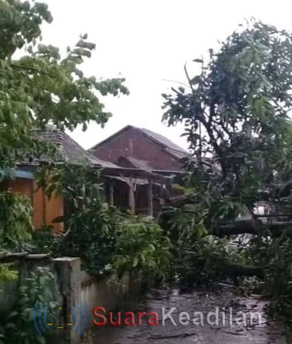 Puting Beliung Mengamuk Di Botomulyo, Seratusan Rumah Rusak