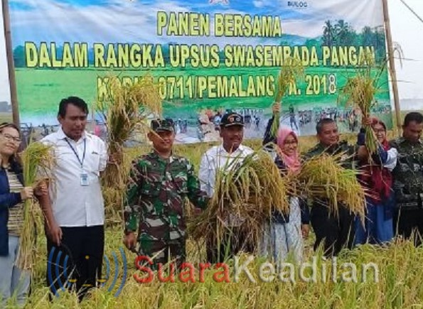 Panen Raya Padi di Desa Kramat