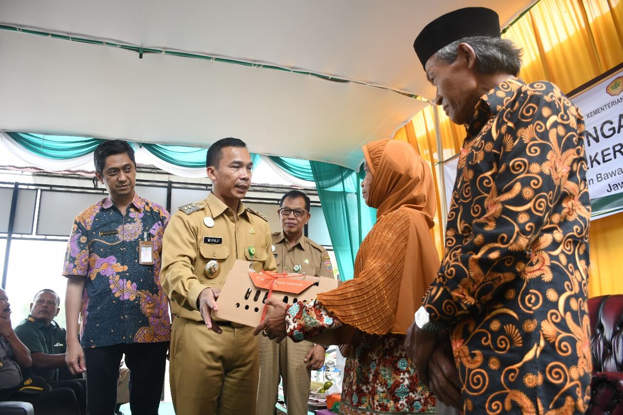 Wihaji Minta Bantuan Bibit Ayam Tidak Dijual