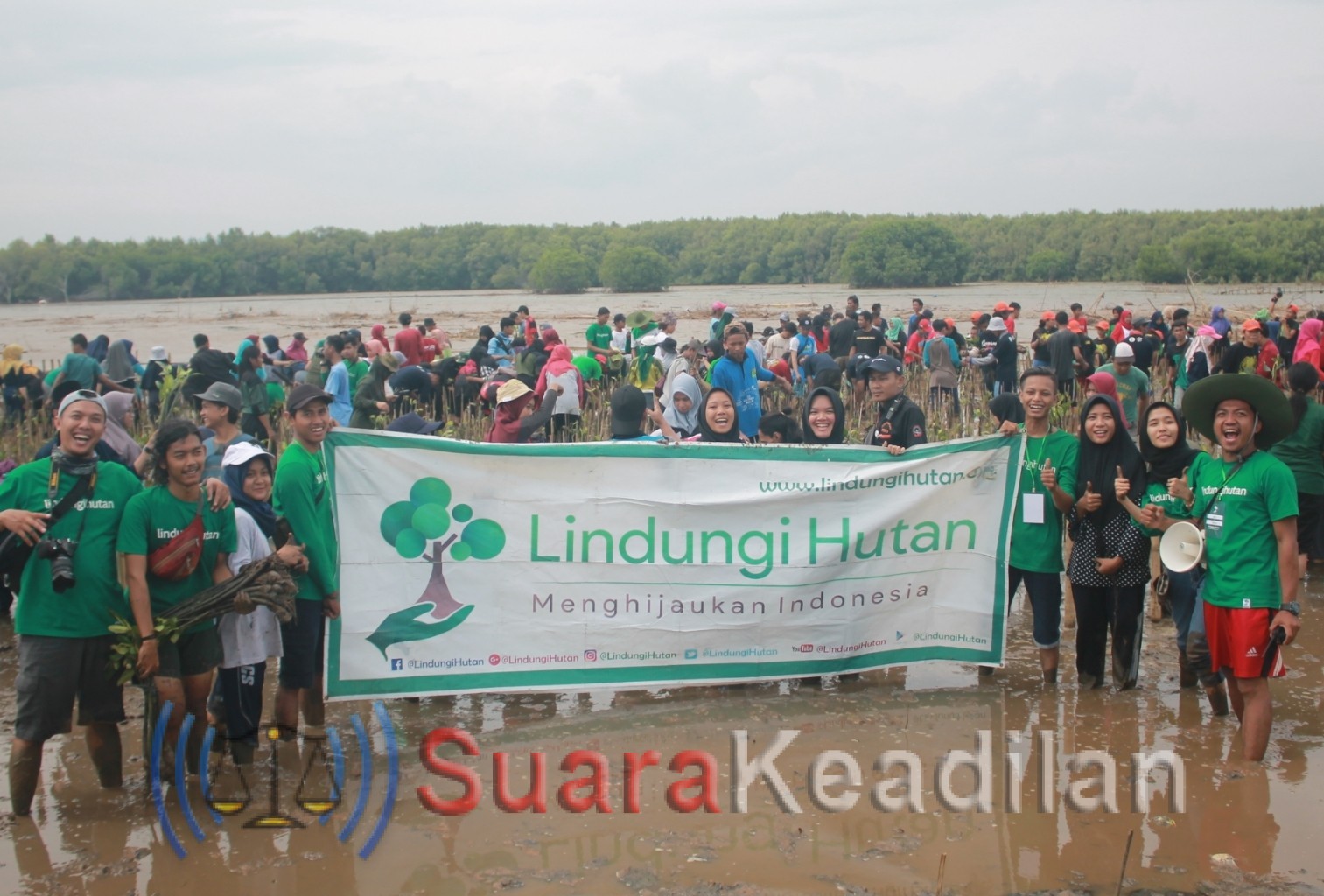 Relawan Tanam 11.000 Mangrove Di Pantai Mangunharjo Mangkang