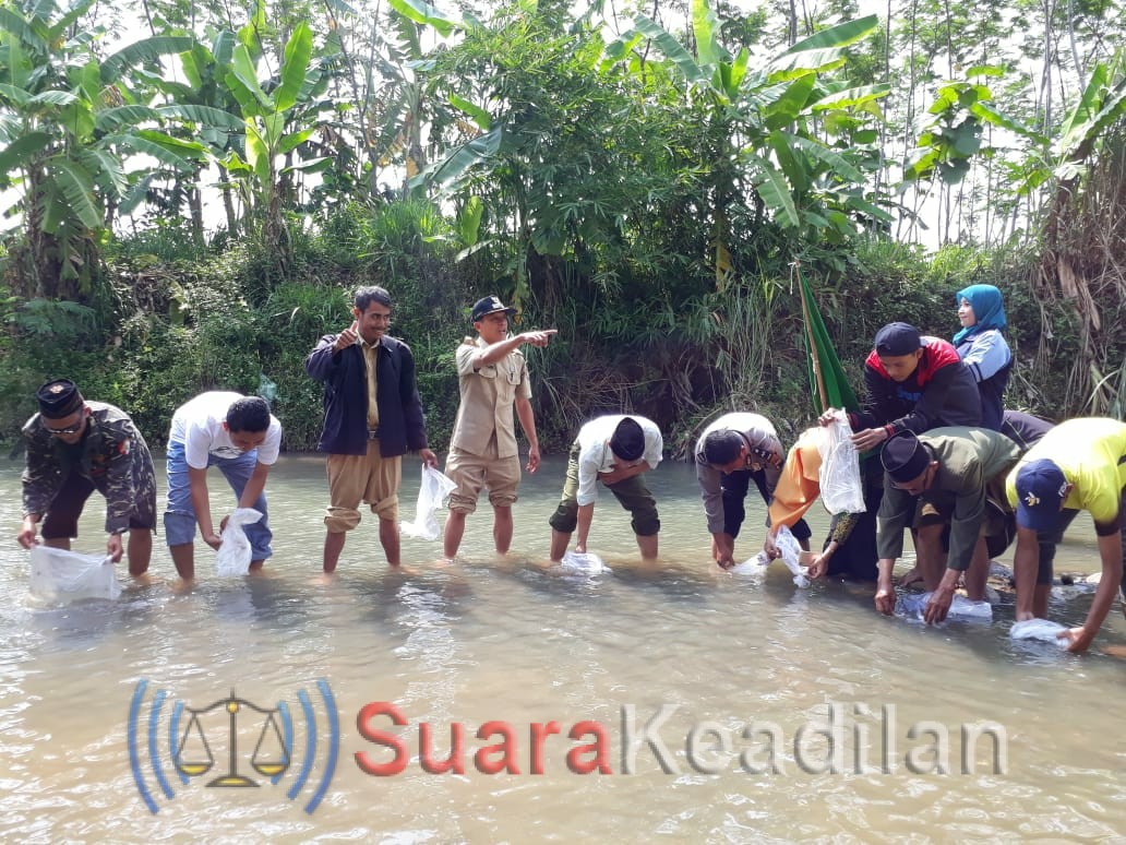 FKSB Tebar Benih Ikan 50.000 Di Sungai Blorong