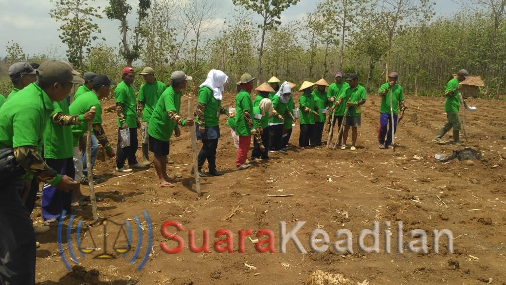 Kementan RI Canangkan Gerakan Tanam Serentak Jagung Hibrida