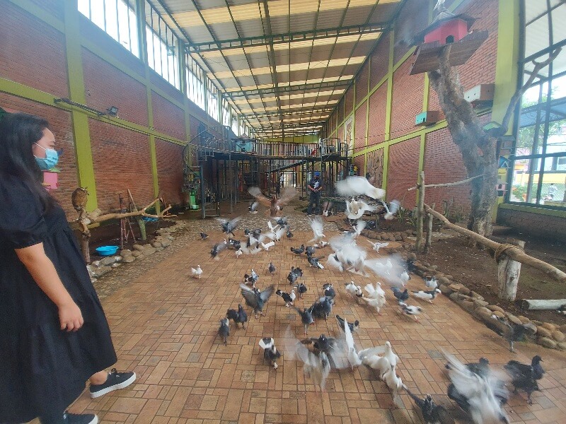 River Walk Siap Tambah Koleksi Burung Hingga Kamar Penginapan Di Tahun 2022