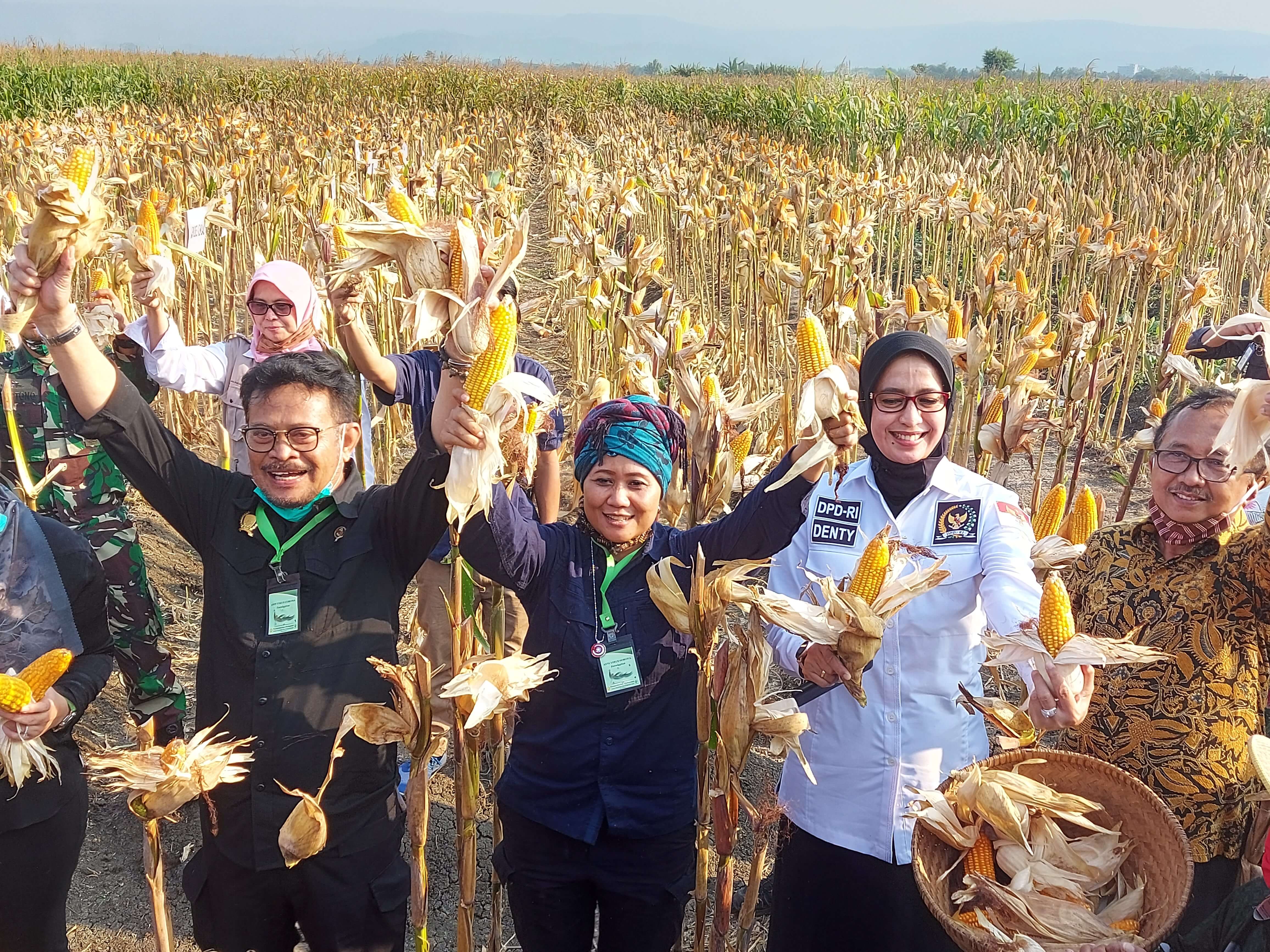 Produksi Pajale Di Kendal Lampaui Terget