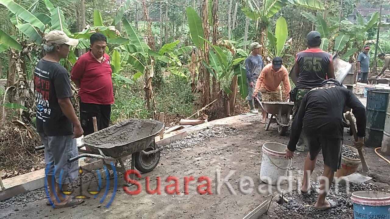 Desa Trayu alokasikan 824.370.000 Untuk Bangun Infrastruktur