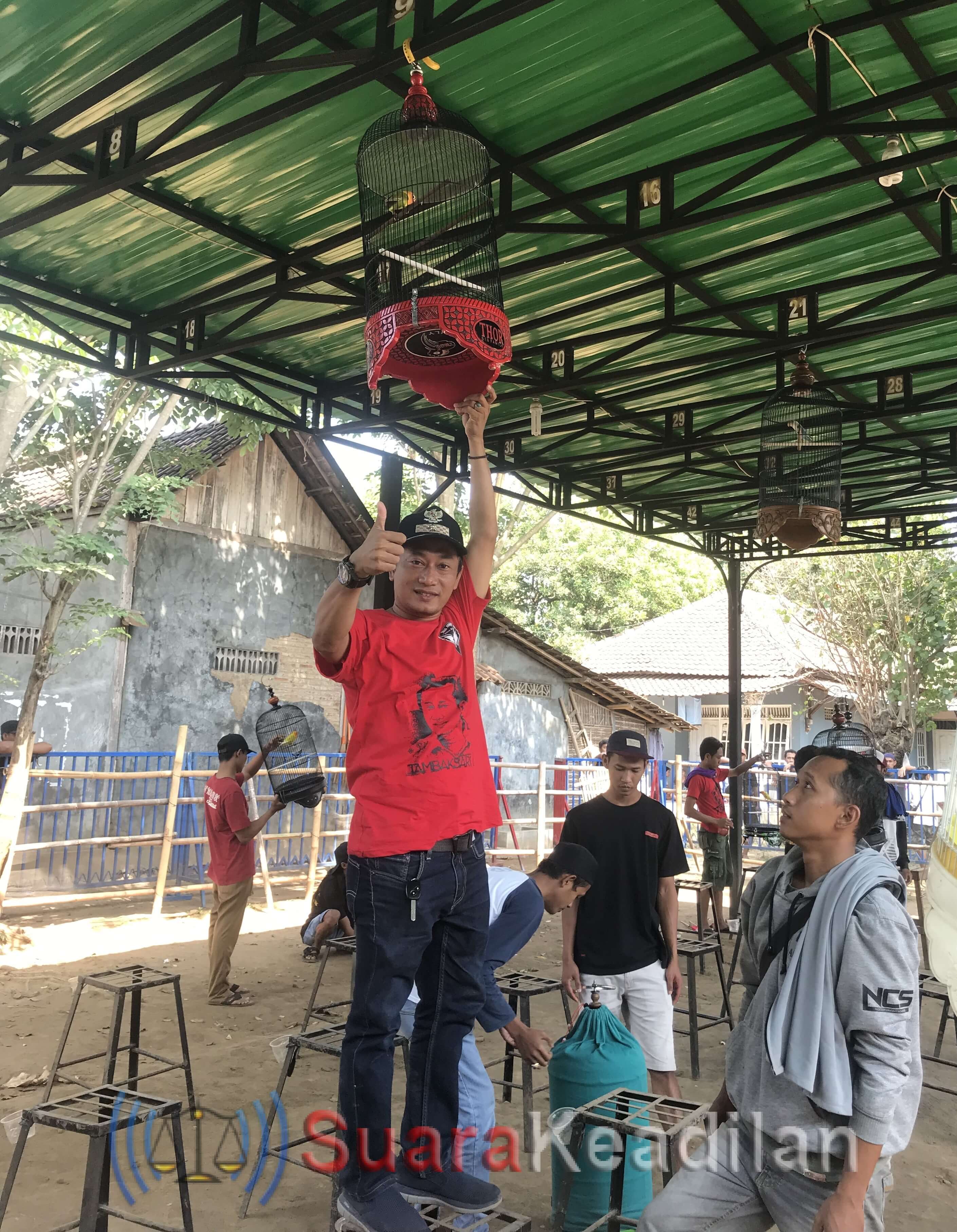 Festival Dan Lomba Burung Berkicau Tambaksari Cup I Meriah