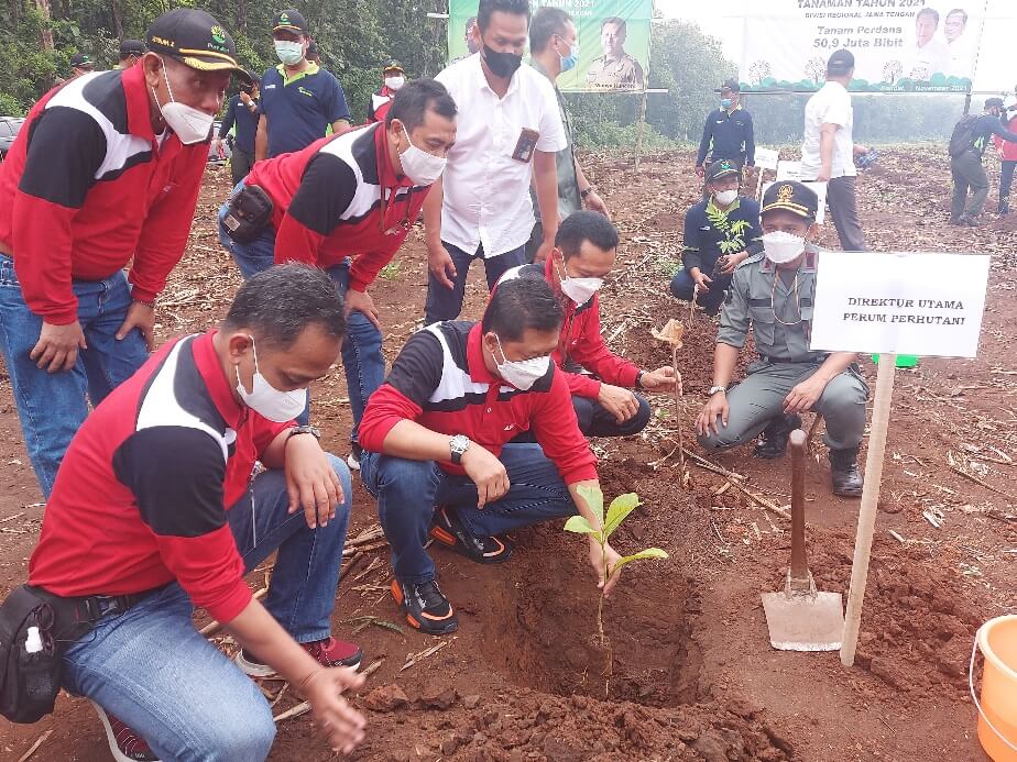 Perum Perhutani Reboisasi 50 Ribu Hektar Lahan Eks Tebangan