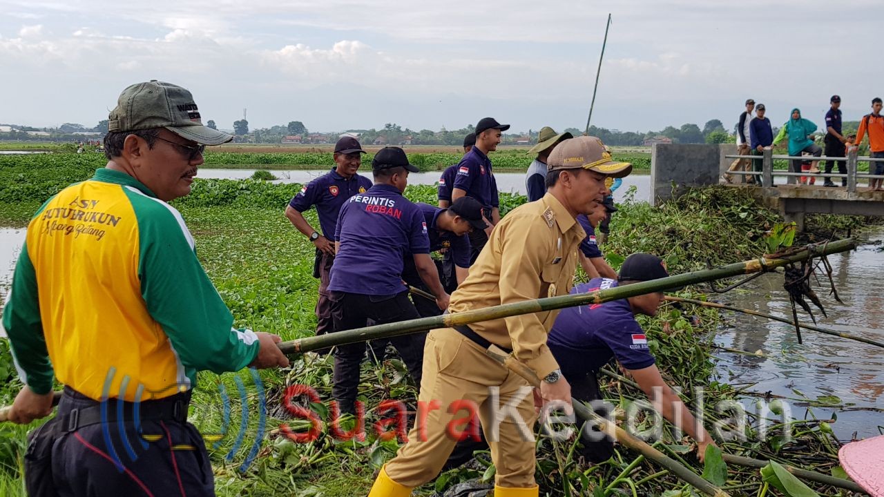 Bupati-Muspika Bersihkan Eceng Godok Sungai Gabus