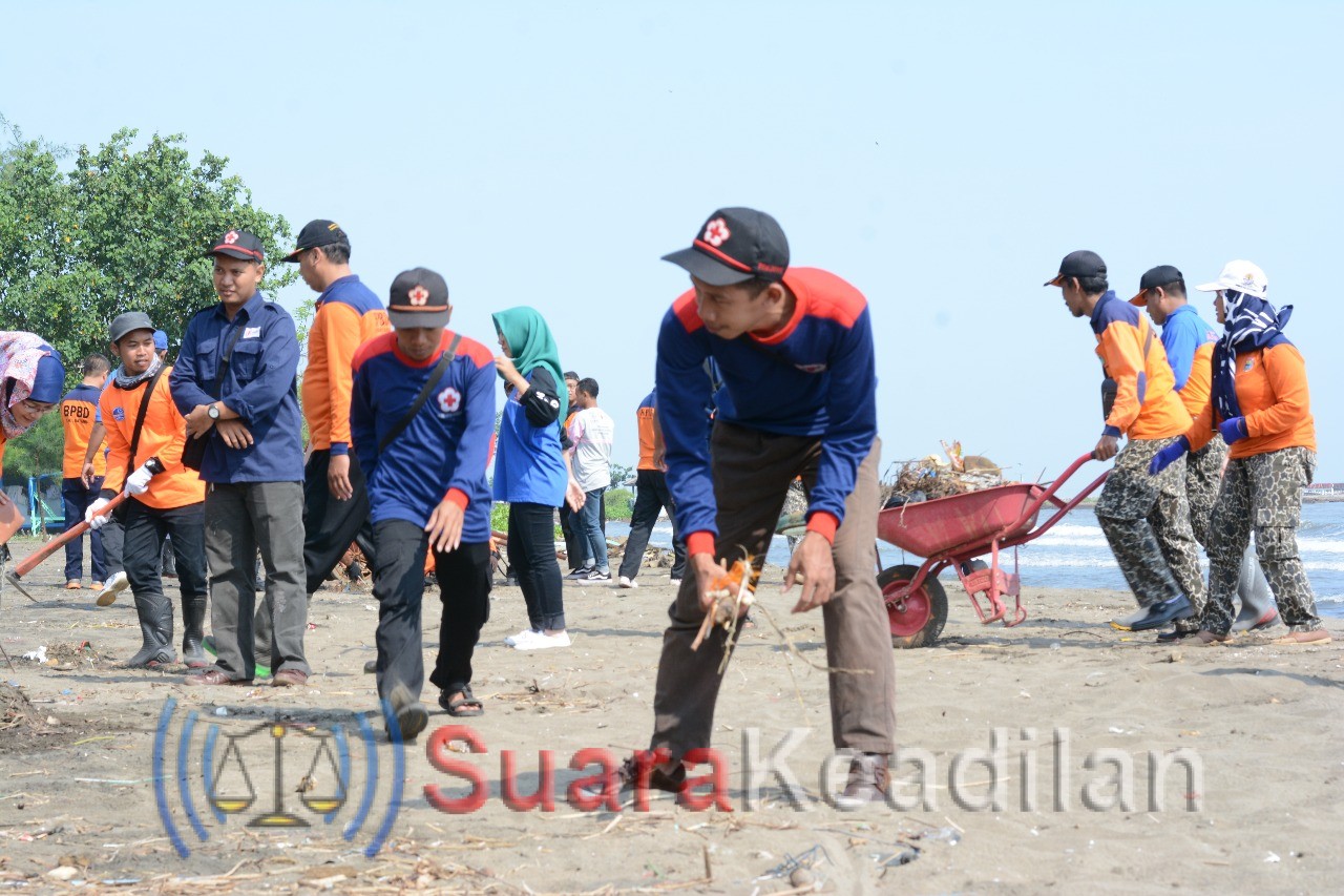 Sambut HUT Batang ke-52, Ratusan Relawan Bencana Bersihkan Sampah di Pantai Wisata Sigandu