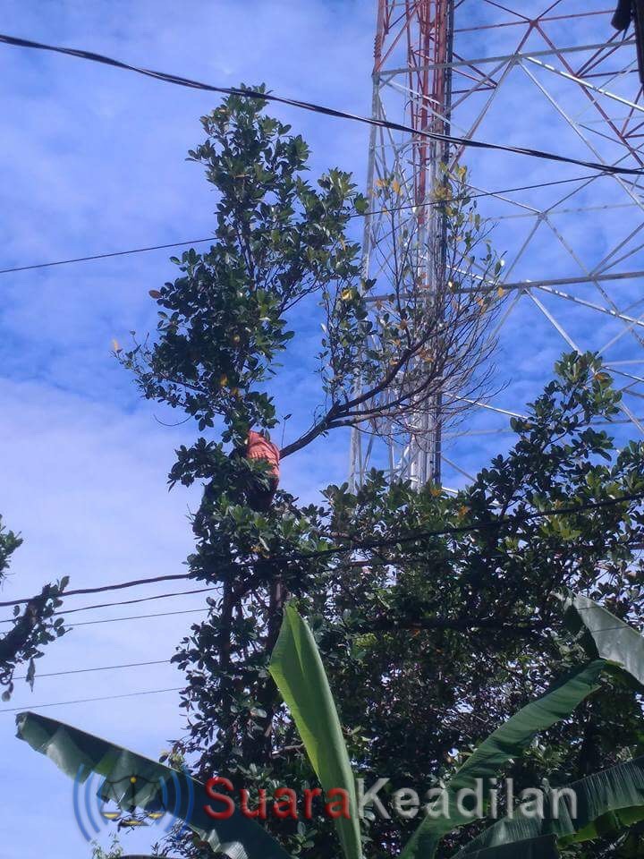 Kesetrum, Rasman Tewas Tersangkut Pohon