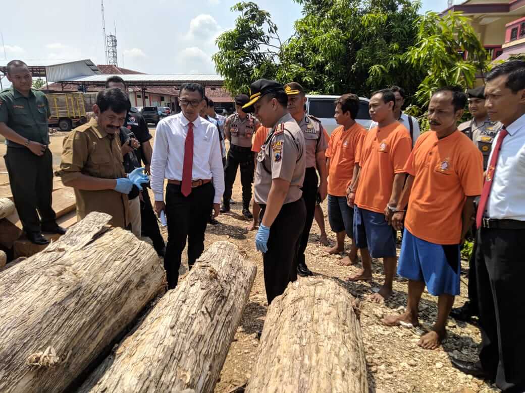 Lima Komplotan Illegal Logging Dibekuk Satreskrim Polres Blora