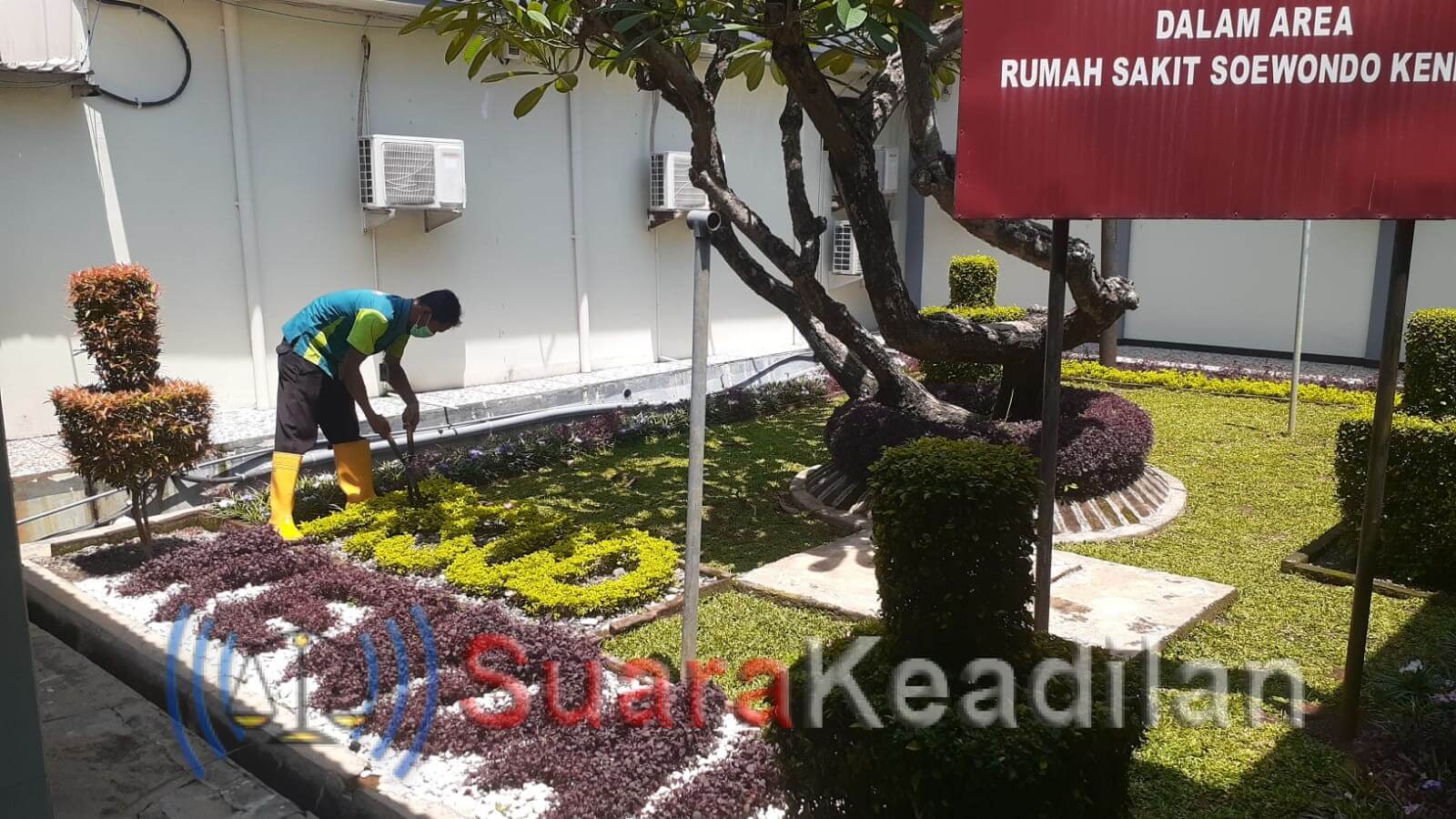Percantik Taman, RSUD dr Soewondo Harapkan Bantu Percepat Kesembuhan Pasien