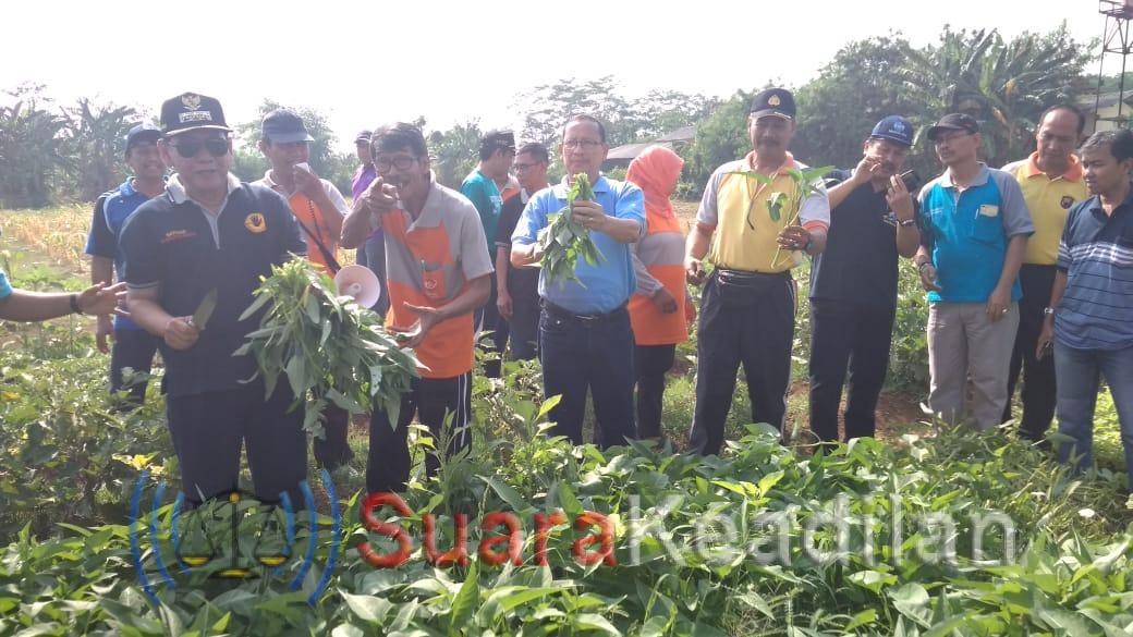 One Day No Rice Terus Digalakan Pemkot Pekalongan