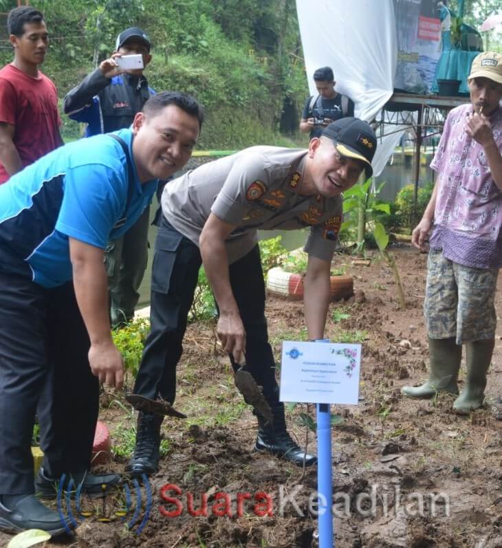 Jaga Kelestarian Tlogomili, PDAM Tirto Panguripan Tanam 1033 Pohon