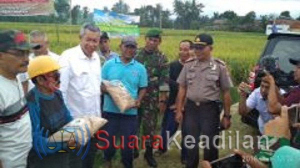 Kapolsek Randudongkal Ikut Panen Raya