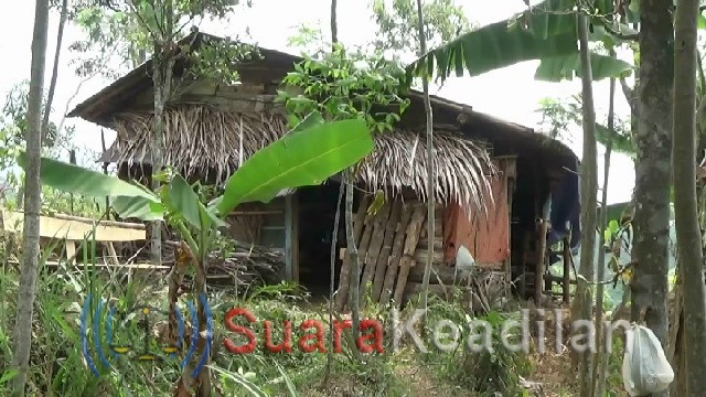 Dua Gadis Penyandang Disabilitas Hidup di Kandang Bersama Kerbau