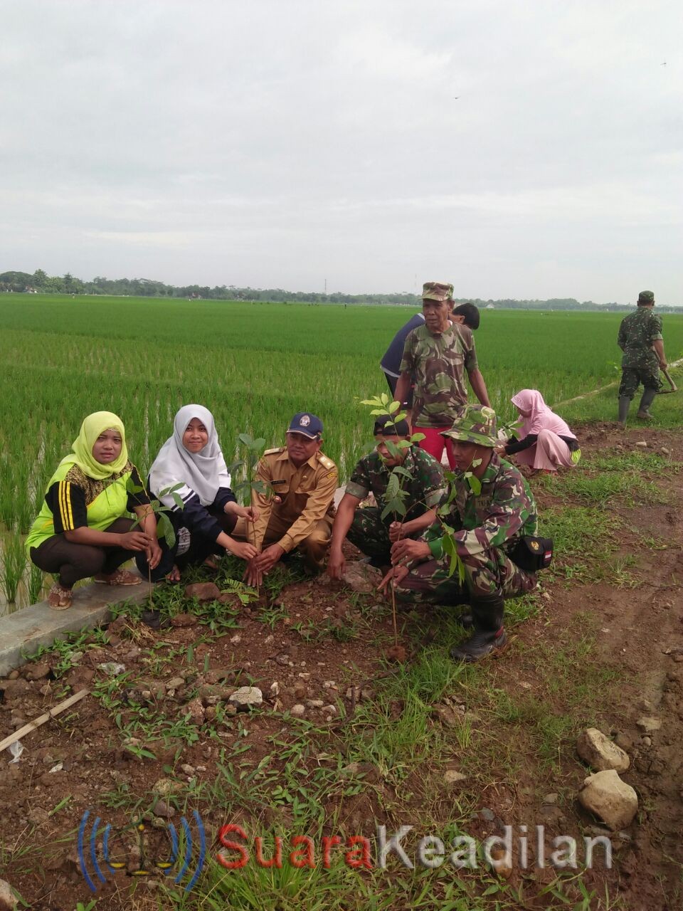 Babinsa gandeng warga tanam ribuan pohon minimalisir erosi