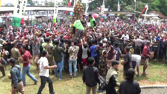 Festival Gunungan Durian Diserbu Pengunjung