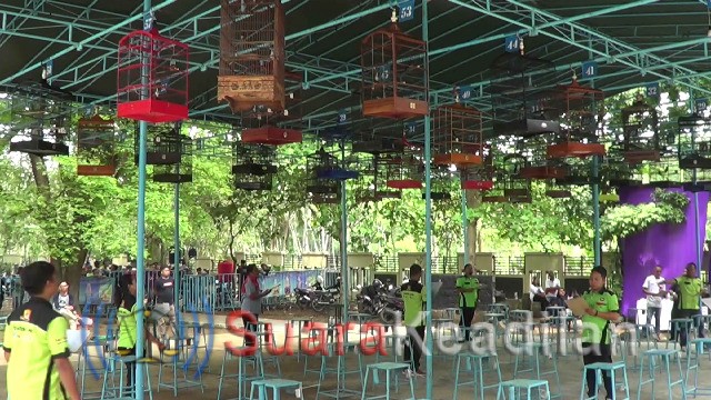 Lomba Kicau Burung, Jadi Wisata Baru Di Batang