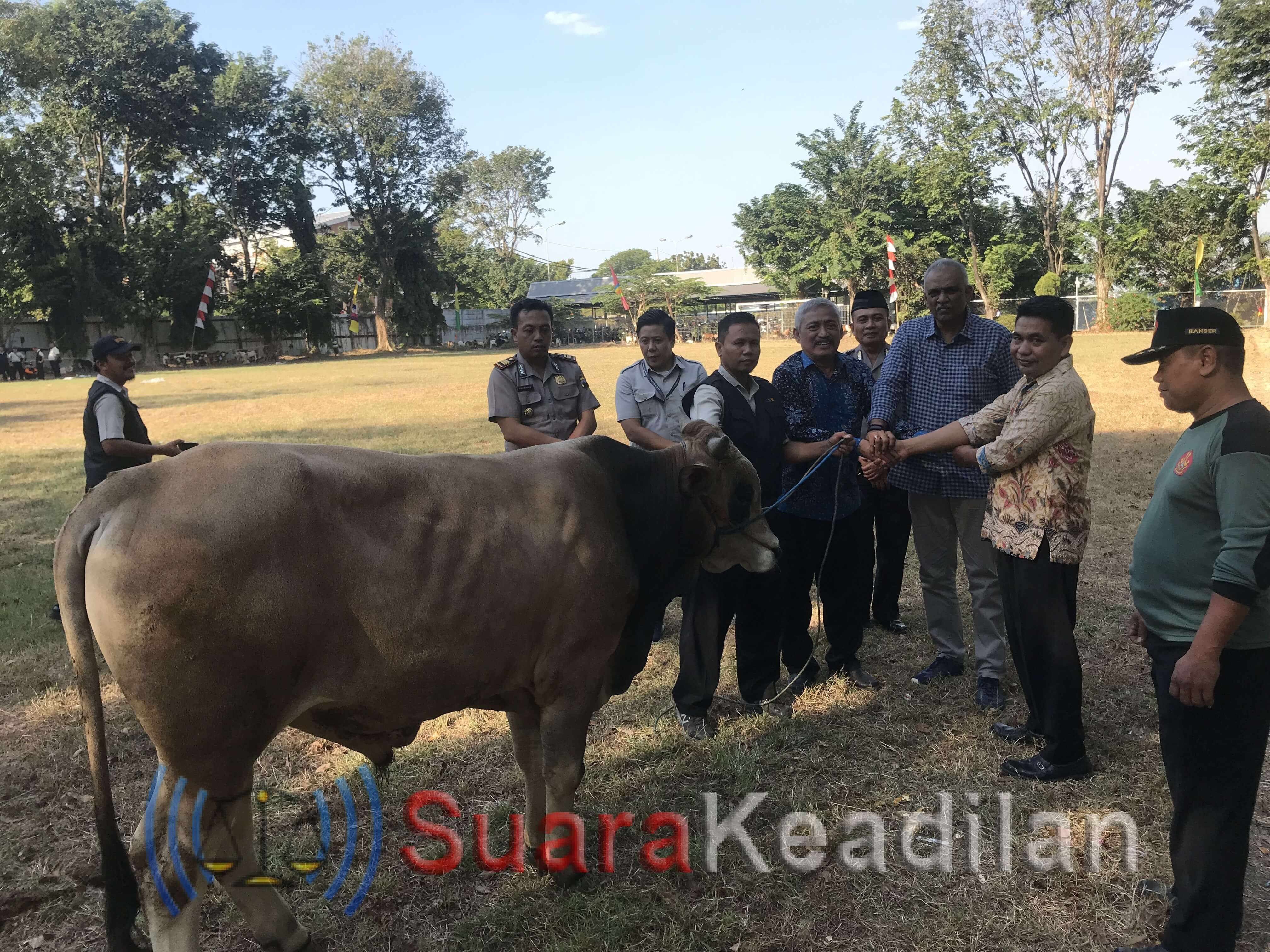 Takmir Masjid-Mushola Terima Hewan Kurban Dari CSR PT APF