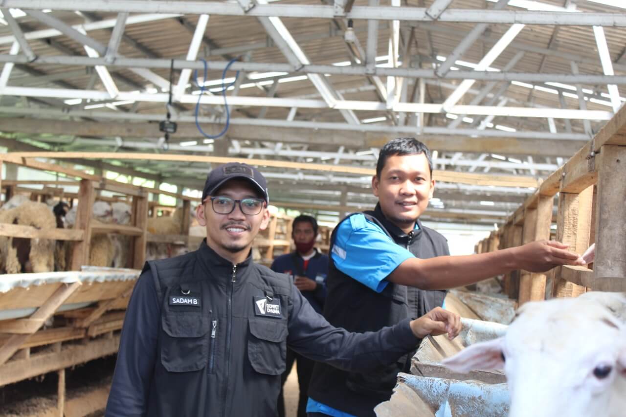 Dompet Dhuafa Jateng Siapkan 1.713 Hewan Berkwalitas