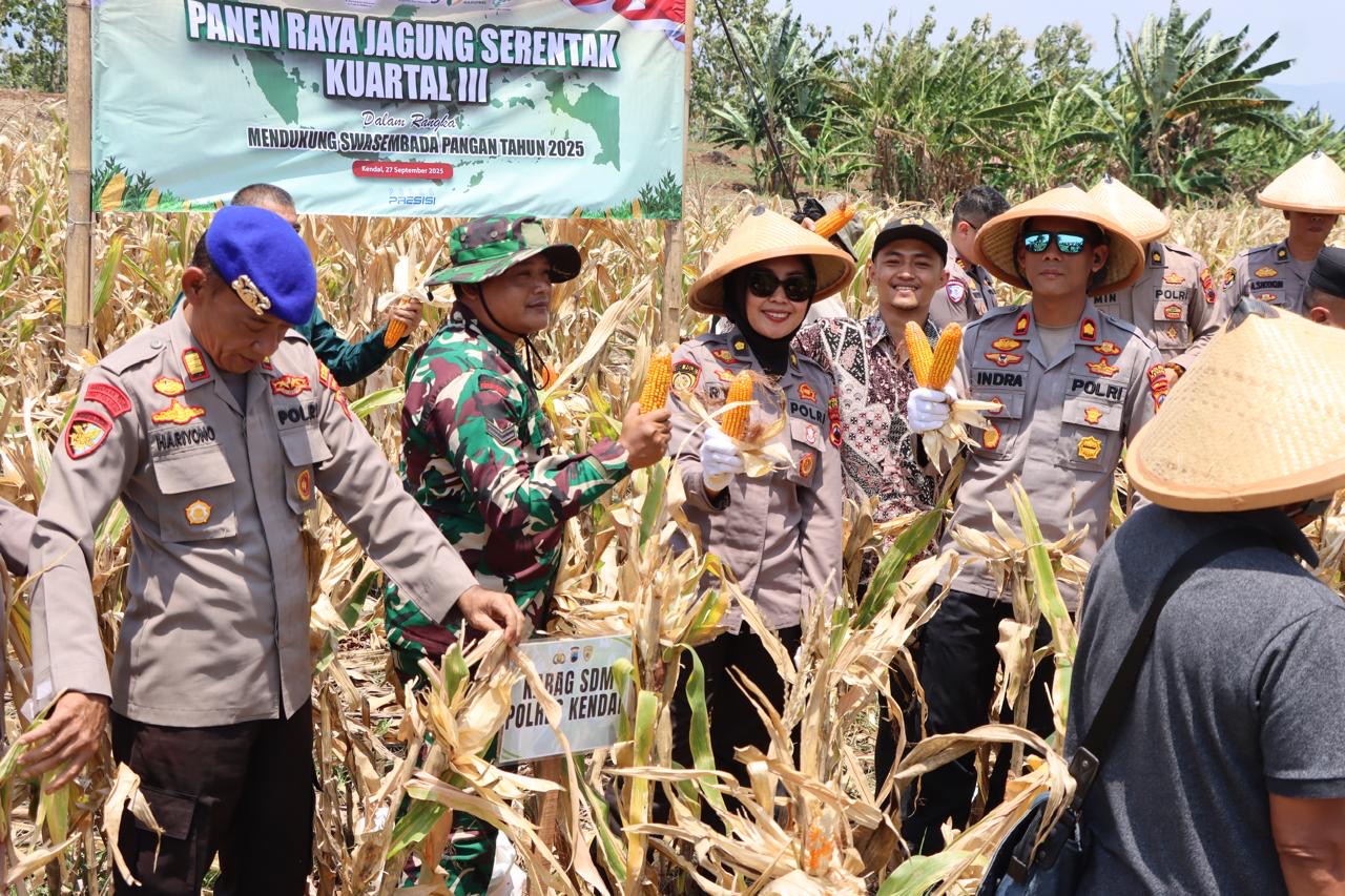 Perkuat Ketahanan Pangan Nasional, Polres Kendal Panen Raya Jagung Kuartal III Tahun 2025