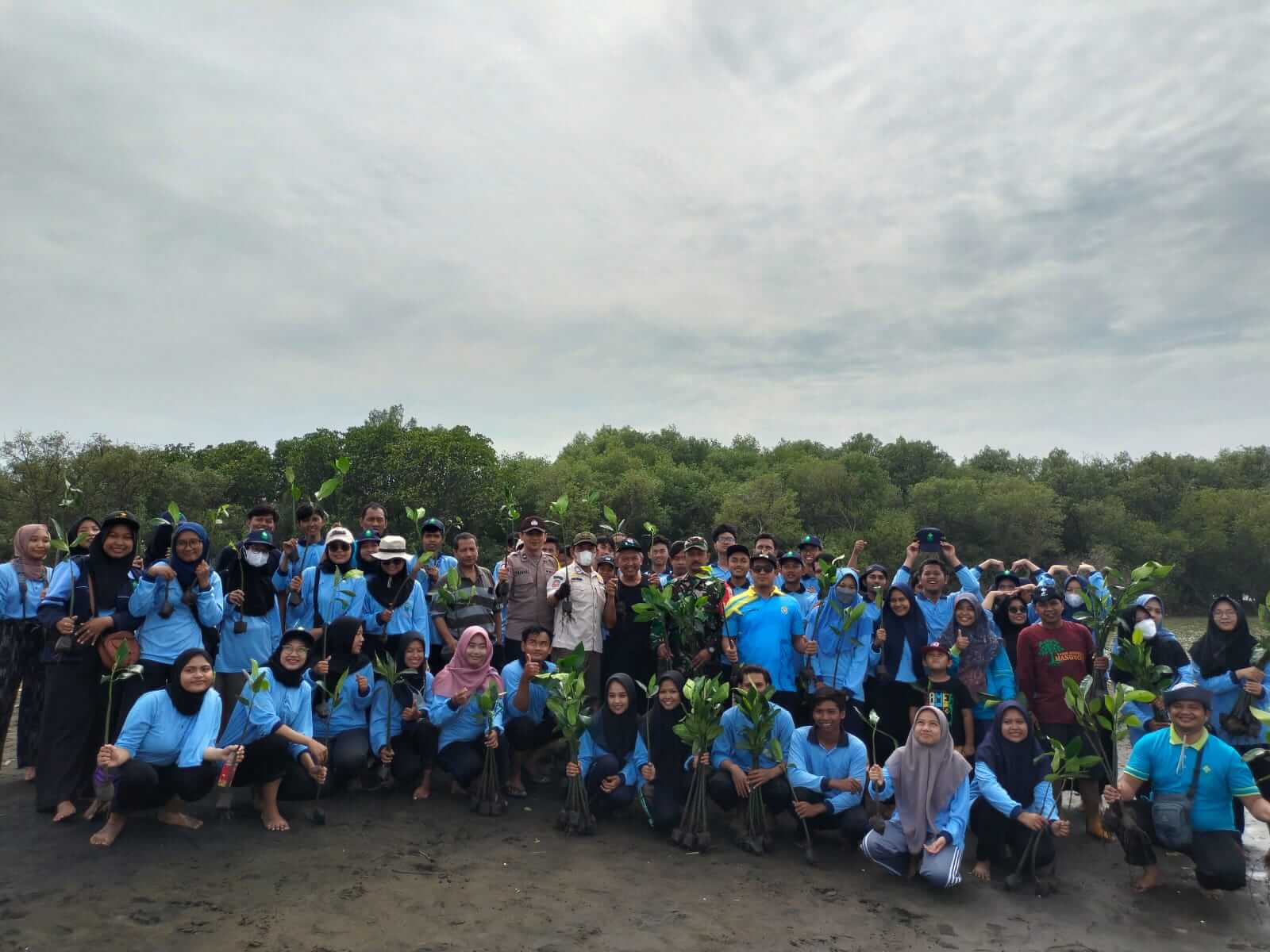 Cegah Abrasi Pantai Pidodokulon, KKN MIT Ke-15 UIN WS Tanam 1000 Mangrove
