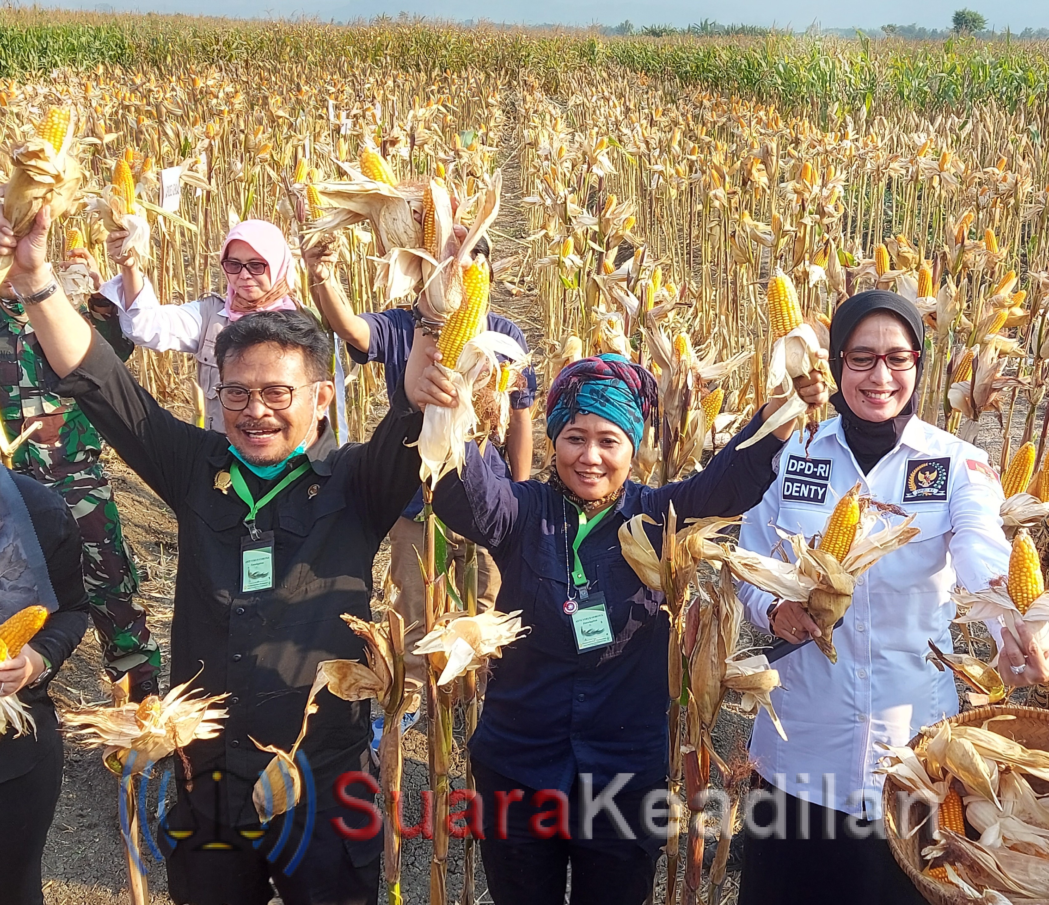 Mentan Panen Jagung Di Pucangrejo