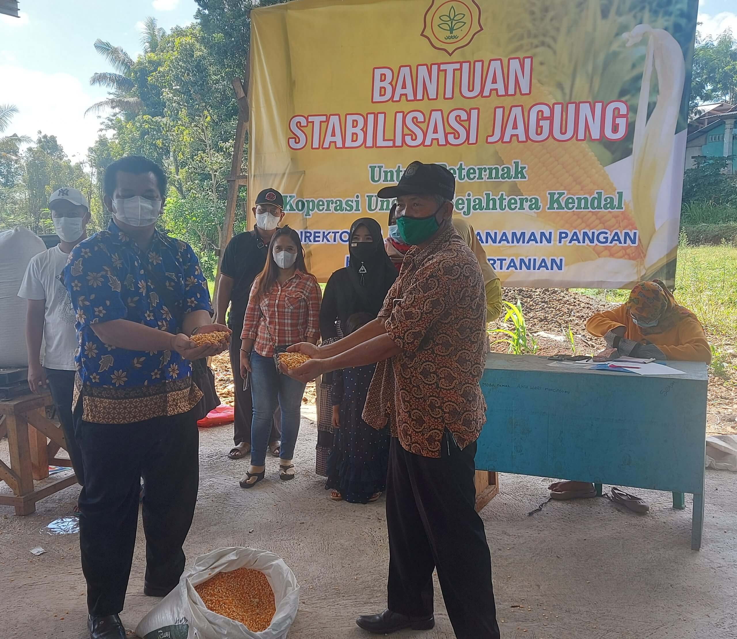 Koperasi Unggas Sejahtera Dapat Bantuan Jagung Subsidi 300 Ton
