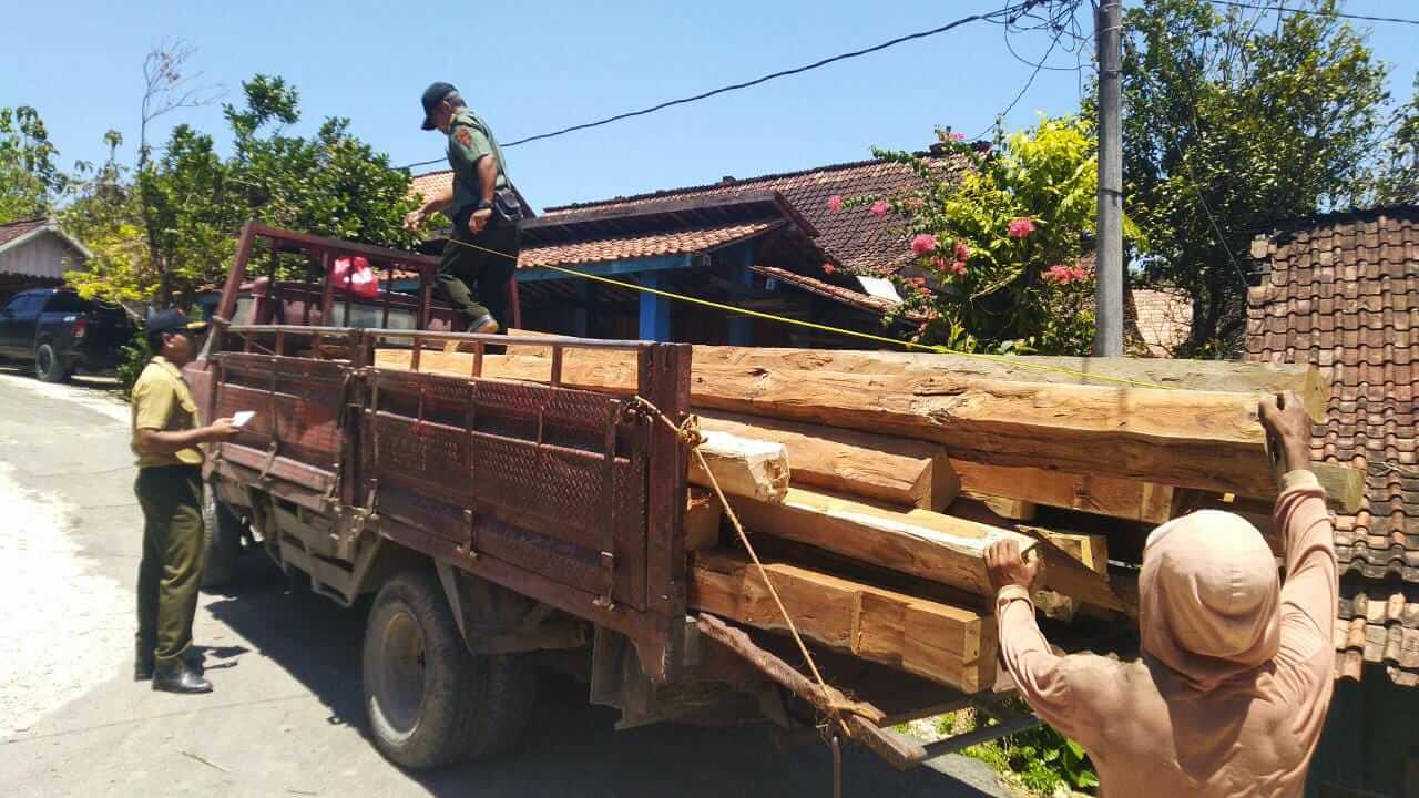 Polres-Perhutani Amankan 3 Truk Kayu Jati Ilegal