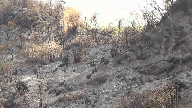Empat Hari Kawasan Gunung Botak Terbakar