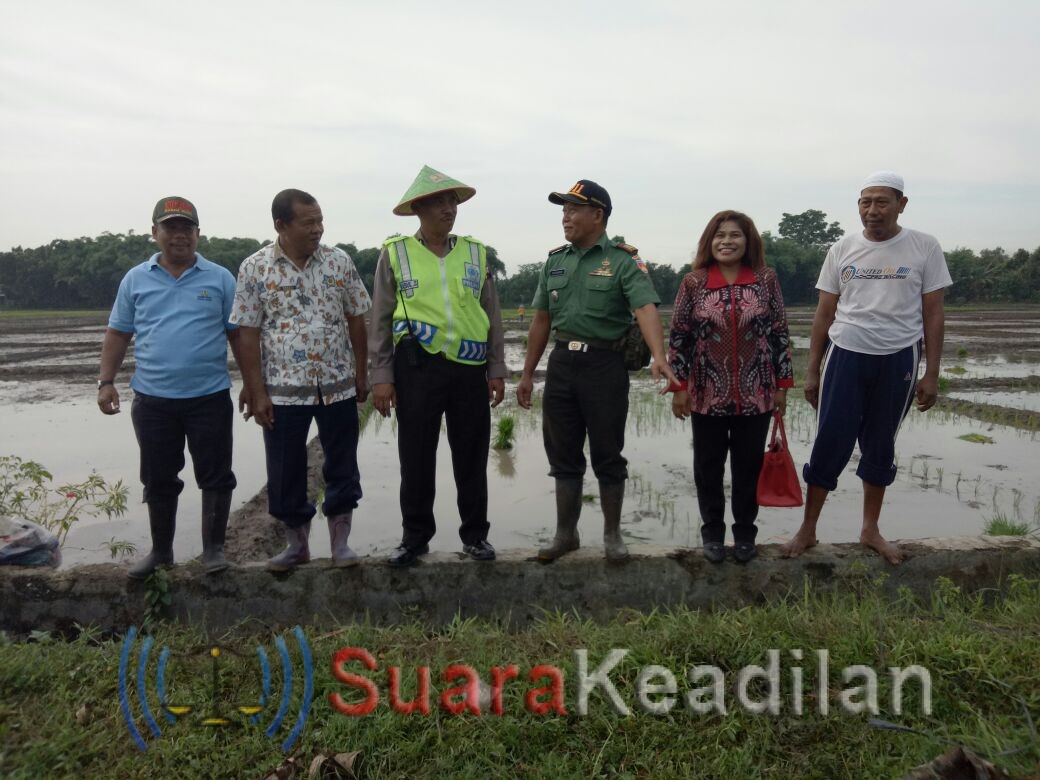 Bekerjasama Dengan Polair Polres Pemalang, Polsek Pemalang Memberikan Pertolongan Kejadian Kapal Tenggelam