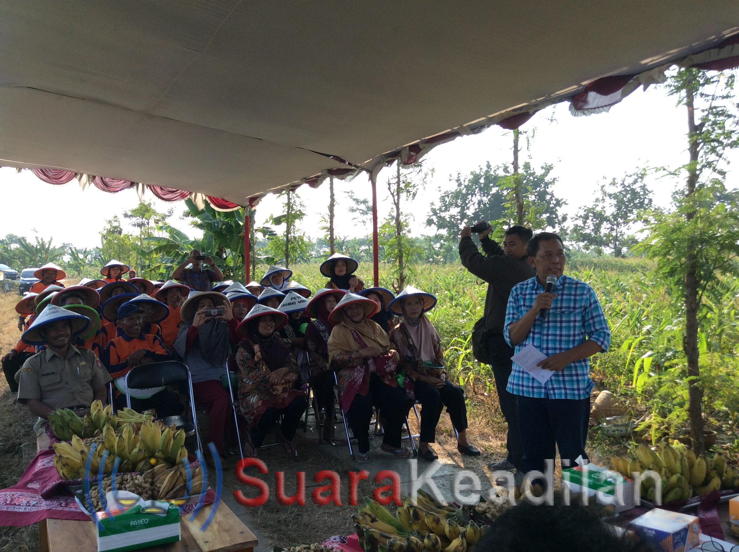 Kelompok Tani Cabe Bangunsari Minta Bantuan pompa Air