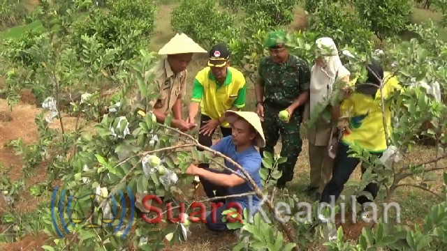 Destinasi Wisata Alam Petik Seribu Buah Bandung