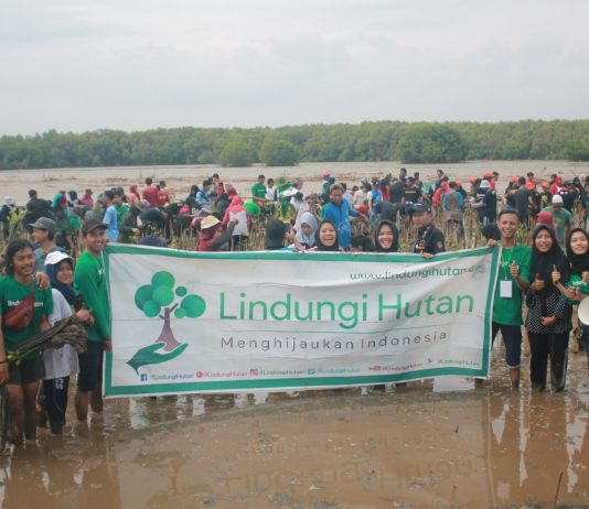 Relawan Tanam 11.000 Mangrove Di Pantai Mangunharjo Mangkang